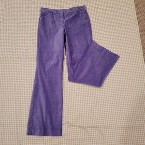 EXPRESS  NWT   velvet pants size 6